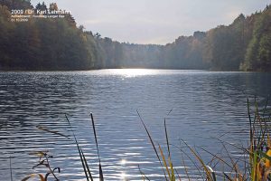 Langer See