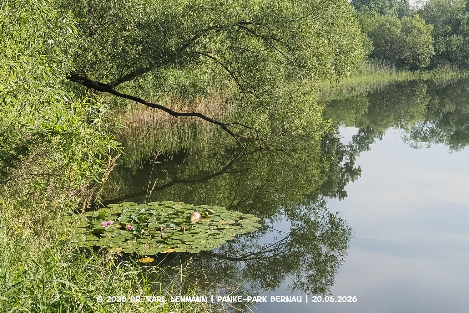 Panke-Park Bernau