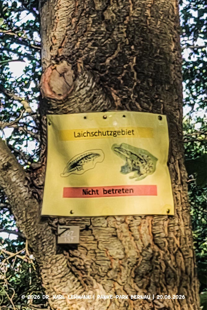 Panke-Park Bernau