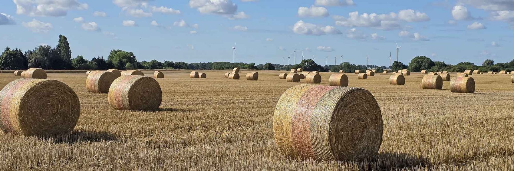 Beitragsbild Strohballenfeld