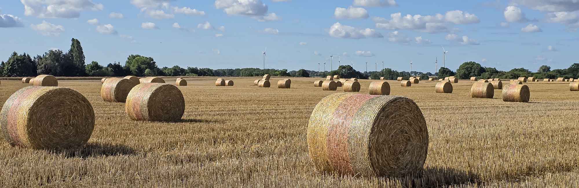 Beitragsbild Strohballenfeld
